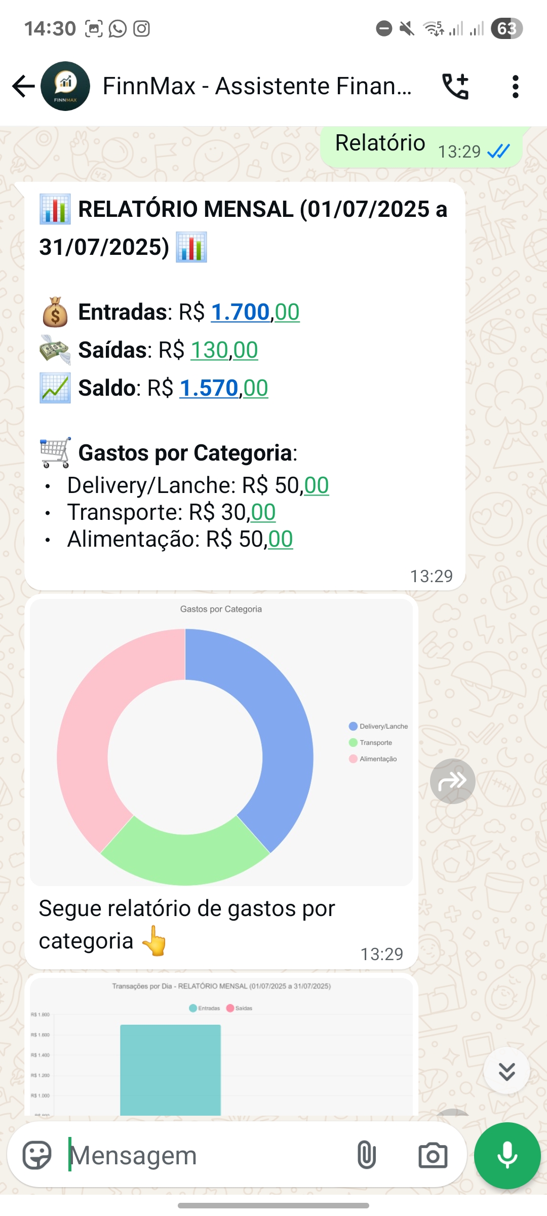 Print da tela do FinnMax mostrando relatório mensal